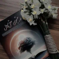 کتاب (در جستجوی عقل کامل) با ۲۰ درصد تخفیف