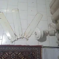 پنکه سقفی.|پنکه و تصفیه‌کنندهٔ هوا|زاهدان, |دیوار