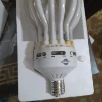 لامپ کم مصرف|لامپ و چراغ|تبریز, |دیوار