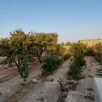 باغ ۱۰۰۰ متر کوچه گلخانه خیابان سروش قهجاورستان|فروش خانه و ویلا|اصفهان, قهجاورستان|دیوار