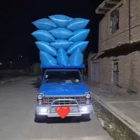 فروش کاه سفید.نرم گوسفندی