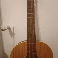 گیتار پارسی m5|گیتار، بیس، امپلیفایر|شیراز, دکتر حسابی|دیوار