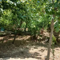 باغچه باغ ۱۲۰۰ متری چمران