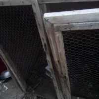 سلام قفس مرغ خرگوش