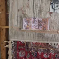 یک دستگاه قالیچه..ویا غالچا|فرش|باسمنج, |دیوار