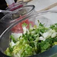 فلافل زن وساندویچ زن