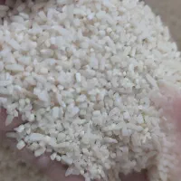 نیمدانه هاشمی|خوردنی و آشامیدنی|رشت, جماران|دیوار