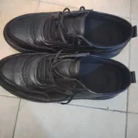 کفش اسپورت برند پاپیا سایز40