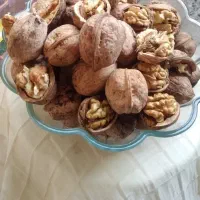 کشاورز نمونه