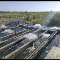 نیاز به کار در پرورش ماهی