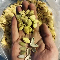 خشکبار ، کدو پر مغز