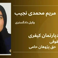 وکیل متخصص و حرفه ای|خدمات مالی، حسابداری، بیمه|تهران, ایرانشهر|دیوار