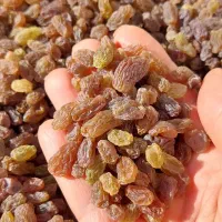 سرکه انگور ، کشمش آفتابی بیدانه،سایه خشک امساله|خوردنی و آشامیدنی|محمدیه-قزوین, |دیوار