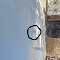 شاهین|خودرو سواری و وانت|تربت جام, یحیی آباد|دیوار