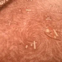 یک عدد موکت   از 12 متر بیشتر به فروش می رسد