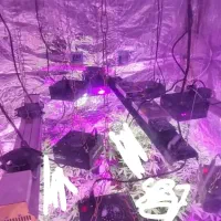 لامپ رشد گیاه،پرژکتور رشد گیاه،والواشر.دکتر گیاه