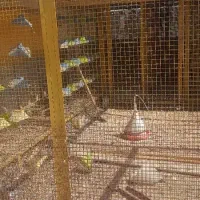 فروش و خرید پلاستیک کارتون اهن