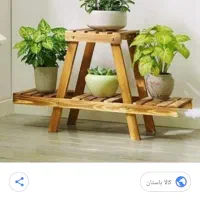 استند گل|گل و گیاه طبیعی|رشت, گلباغ نماز|دیوار