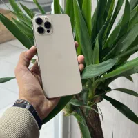 IP 12pro max 256gig نقد و اقساط