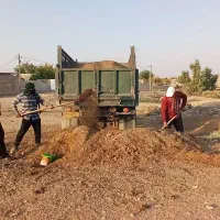 کود|خدمات باغبانی و درختکاری|دزفول, |دیوار
