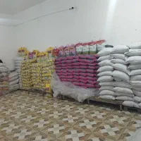 عرضه انواع برنج ایرانی پاکستانی و تایلندی گریدA وB|خوردنی و آشامیدنی|نورآباد, |دیوار