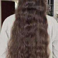 موزه قیمت خوب