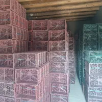سبد سیب طابوتی