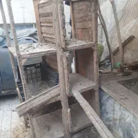قفس جای خواب مرغ تور مرغ