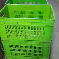 سبد مرغی تعداد ۱۰۰عدد|ظروف نگهدارنده، پلاستیکی، یک‌بارمصرف|اصفهان, لیمجیر|دیوار