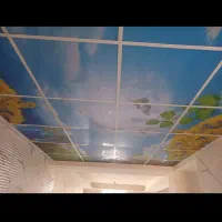 استاد کار سقف کاذب|خدمات پیشه و مهارت|دهدشت, |دیوار
