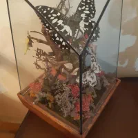 مجسمه برنز|مجسمه، تندیس، ماکت|تهران, شکیبا|دیوار