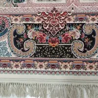 یک جفت فرش|فرش|بندر کنگان, |دیوار