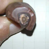 شهاب سنگ|کلکسیون اشیاء عتیقه|تهران, شهرک آزمایش|دیوار