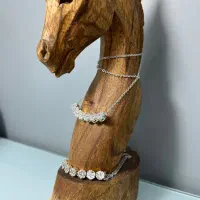 سرویس سلطنتی|جواهرات|سبزوار, ولیعصر (نجار آباد)|دیوار