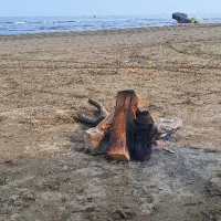 زمین روبه پیش رفت