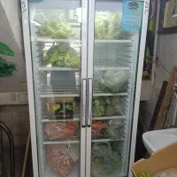 یخچال مغازه ایستاده|فروشگاه و مغازه|قم, شهرک مهدیه (مدرس)|دیوار