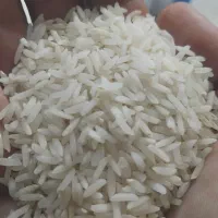 برنج هاشمی درجه یک دره رود سورت شده