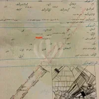 زمین کشاورزی|فروش دفتر صنعتی، کشاورزی، تجاری|ماهیدشت, |دیوار