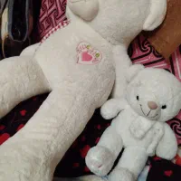 دو عدد خرس بزرگ و کوچک|اسباب‌‌بازی|مبارکه, |دیوار