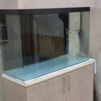 اکواریوم شیشه خم