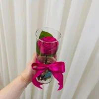 گل روبانی جاودان|گل مصنوعی|رشت, حمیدیان|دیوار