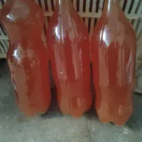 آبغوره کم نمک