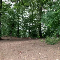 اجاره روزانه/هفتگی/ماهانه ویلا ۷۰ متری|اجارهٔ کوتاهمدت ویلا و باغ|قائمشهر, |دیوار