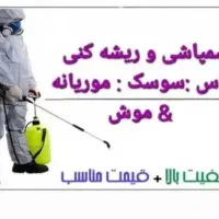 شرکت سمپاشی موریانه زدایی ساس عقرب سوسک مار عقرب