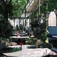 800 متر کافه رستوران تراس دار/کلید نخورده