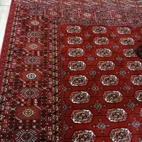 فرش ۹متری جفت|فرش|گنبد کاووس, |دیوار