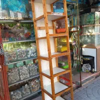 قفسه چوبی، برای جفت کن کبوتر