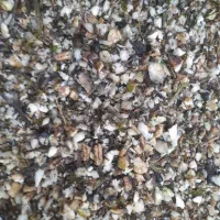 تفاله چغندر دامی|عمده‌فروشی|کبودرآهنگ, |دیوار