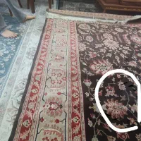 فرش ۱۲۰۰ شانه طرح قدیم پر تراکم محمدرضا  تراکم|فرش|اندیشه, اندیشه فاز ۱|دیوار