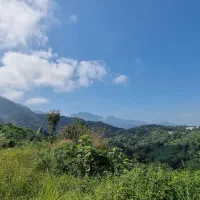 بلندترین نقطه ویو جنگل و دریا و تمام شهرهای با سند|فروش زمین و ملک کلنگی|چابکسر, |دیوار